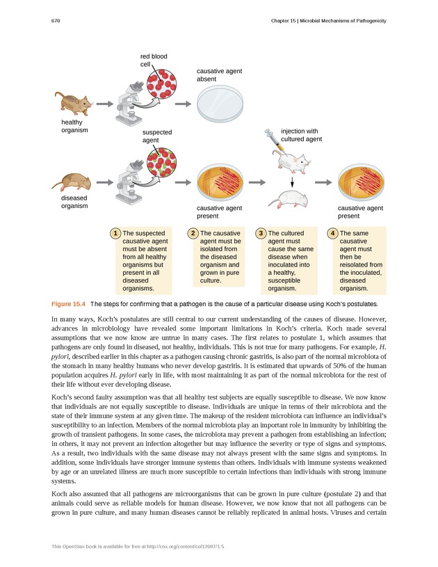 Microbiology - Front Matter 680
