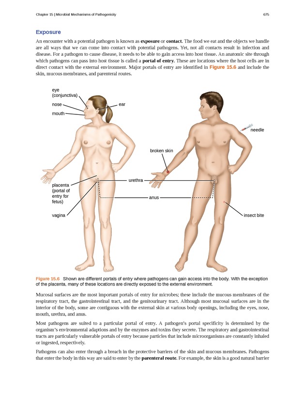 Microbiology - Front Matter 685