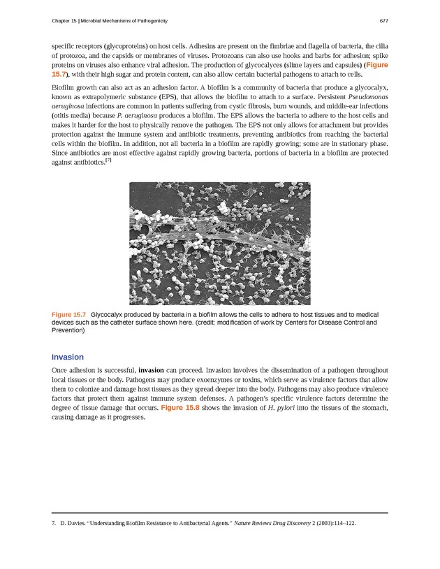 Microbiology - Front Matter 687