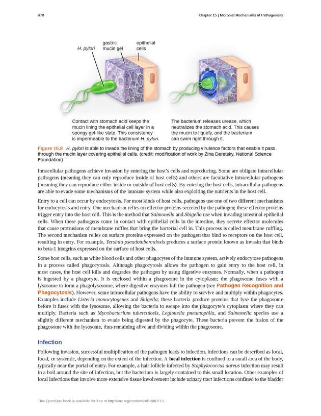 Microbiology - Front Matter 688