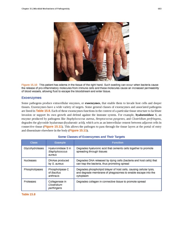 Microbiology - Front Matter 693