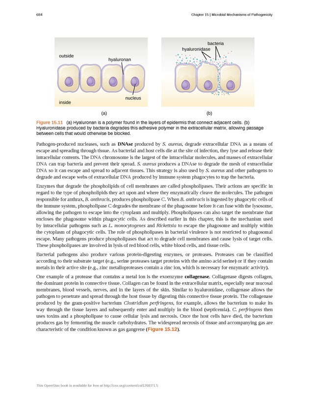 Microbiology - Front Matter 694