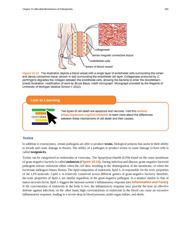 Microbiology - Front Matter 695