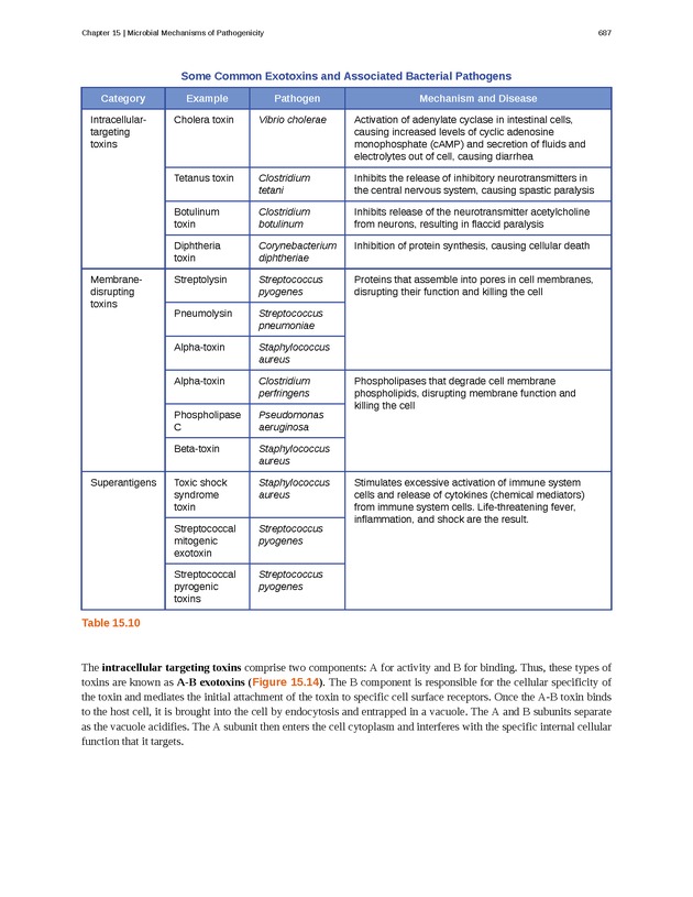 Microbiology - Front Matter 697