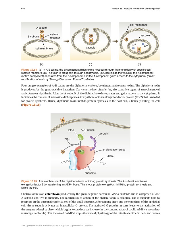 Microbiology - Front Matter 698