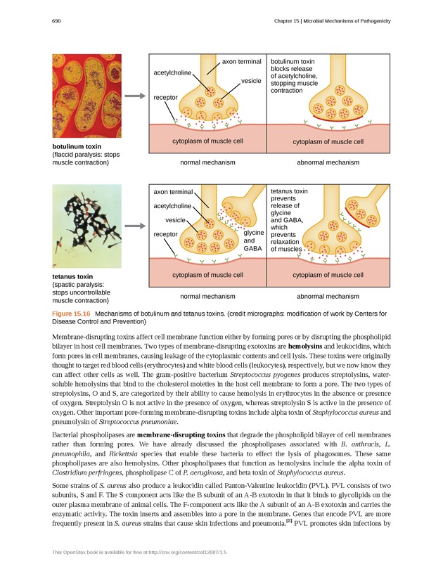 Microbiology - Front Matter 700