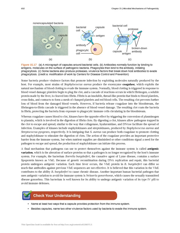 Microbiology - Front Matter 702