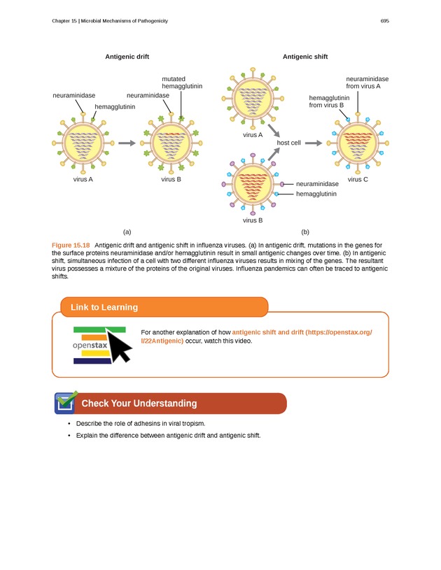 Microbiology - Front Matter 705