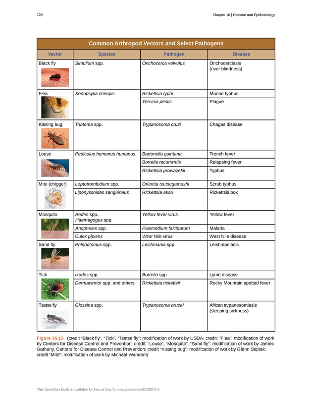 Microbiology - Front Matter 732