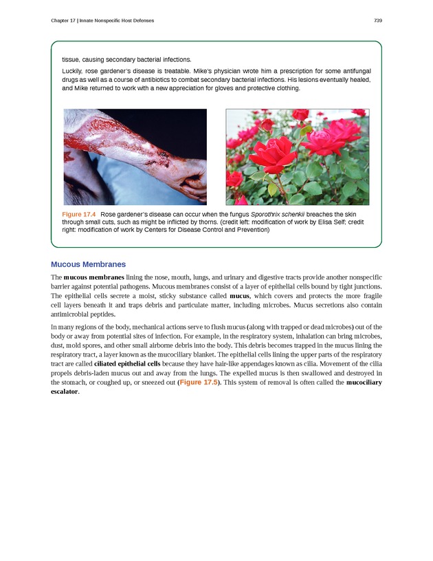 Microbiology - Front Matter 749