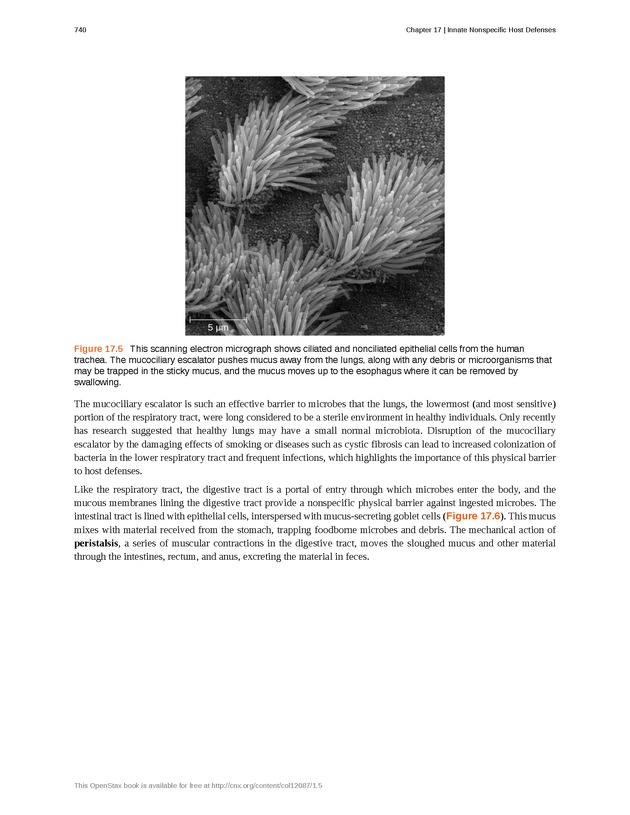 Microbiology - Front Matter 750
