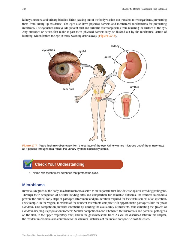 Microbiology - Front Matter 752