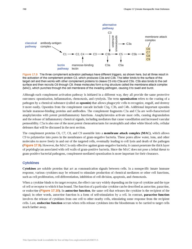 Microbiology - Front Matter 758