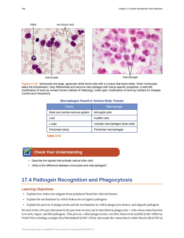 Microbiology - Front Matter 770