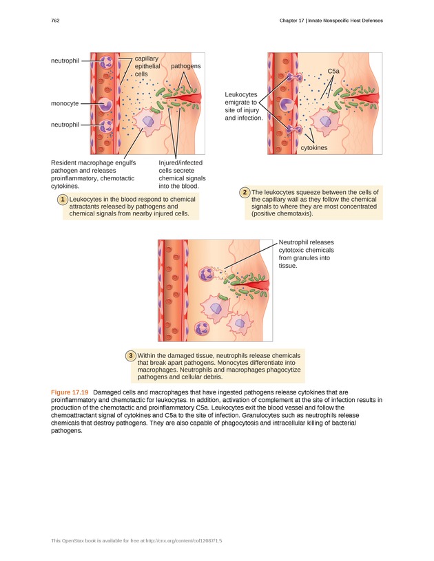 Microbiology - Front Matter 772