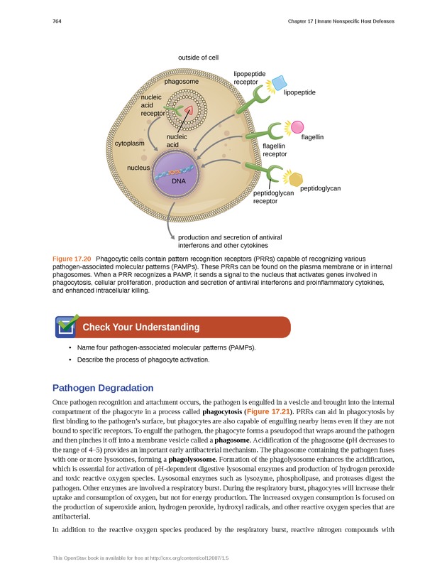 Microbiology - Front Matter 774