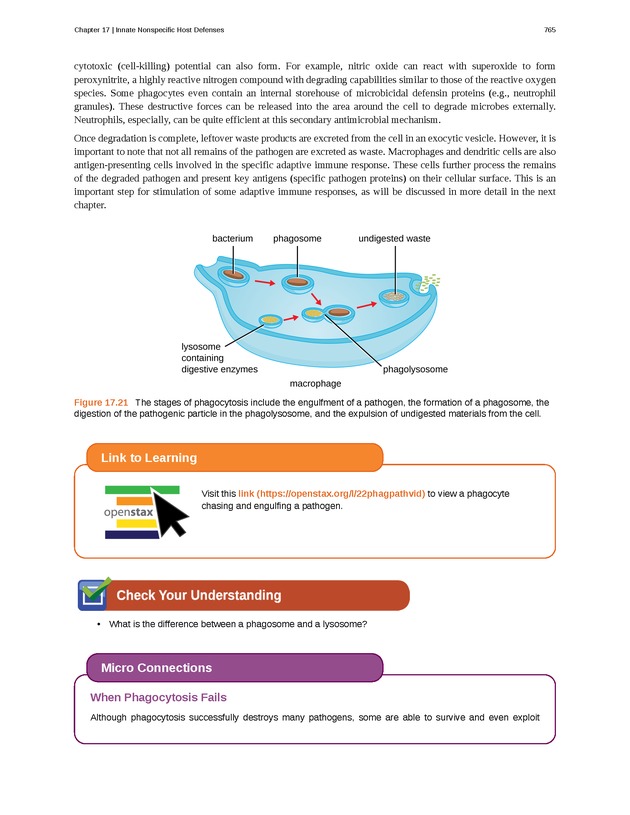 Microbiology - Front Matter 775