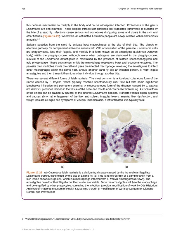 Microbiology - Front Matter 776
