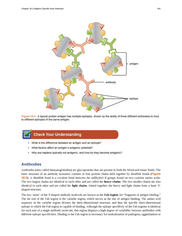 Microbiology - Front Matter 791