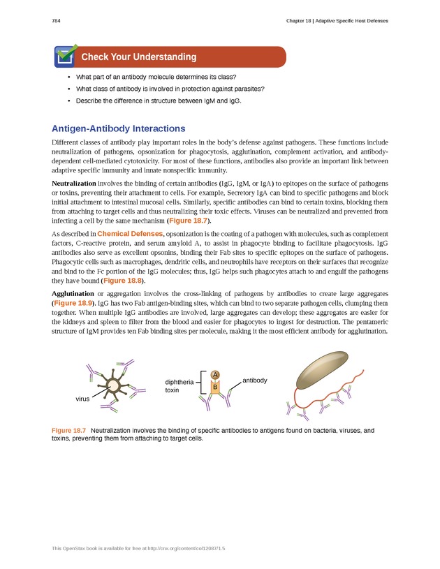 Microbiology - Front Matter 794