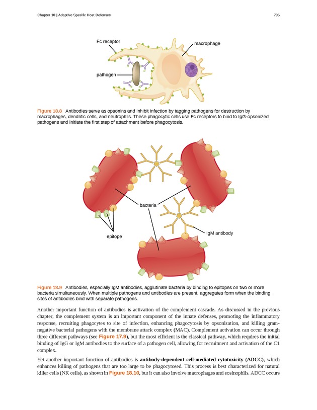 Microbiology - Front Matter 795