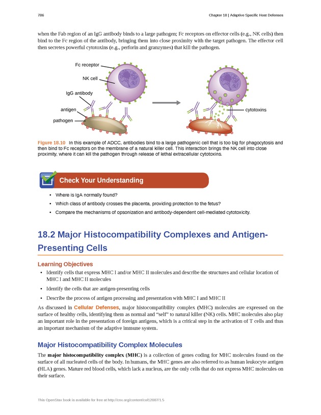 Microbiology - Front Matter 796