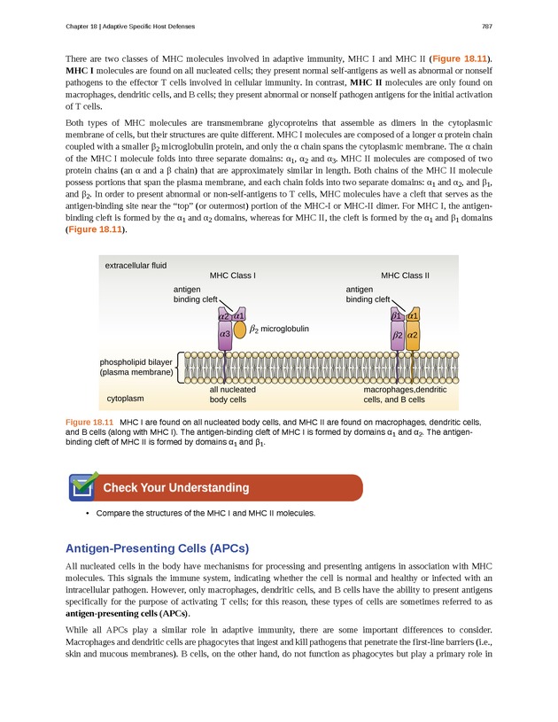 Microbiology - Front Matter 797
