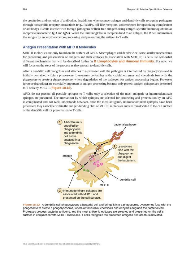 Microbiology - Front Matter 798