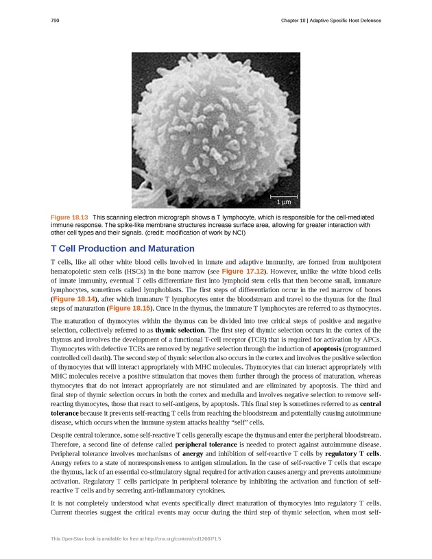 Microbiology - Front Matter 800