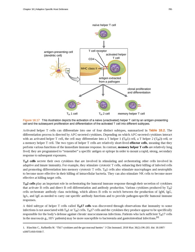 Microbiology - Front Matter 805