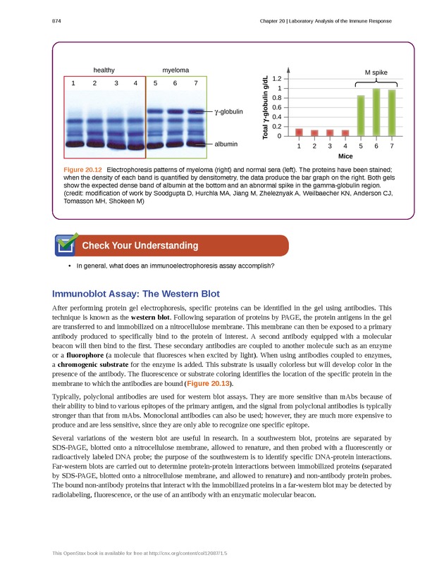 Microbiology - Front Matter 884