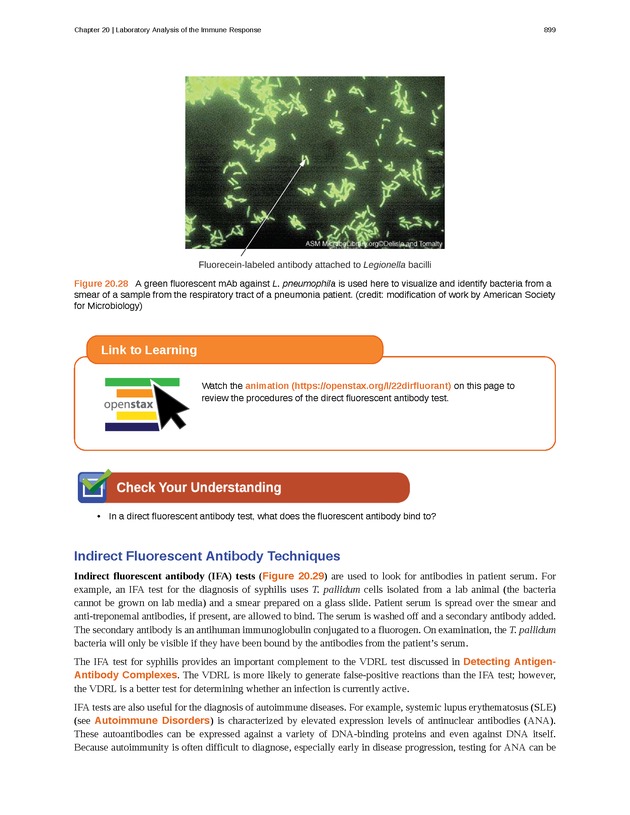Microbiology - Front Matter 909