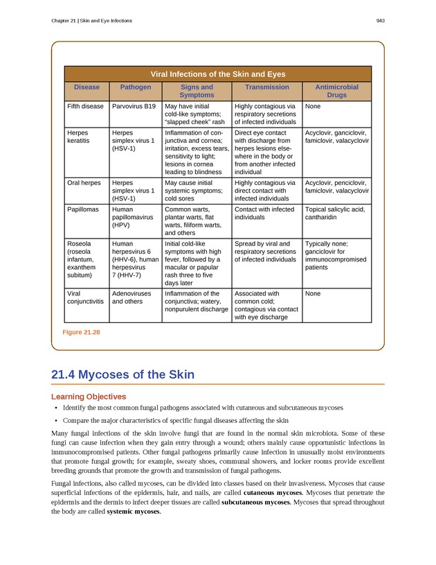 Microbiology - Front Matter 953