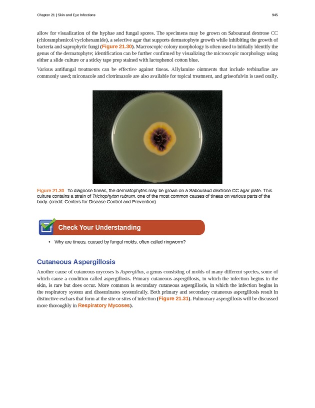 Microbiology - Front Matter 955