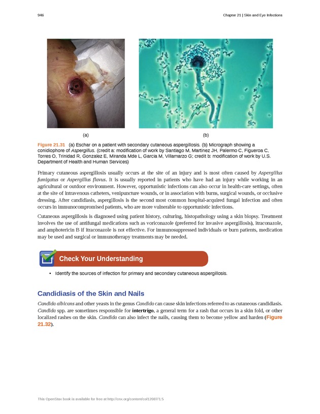 Microbiology - Front Matter 956