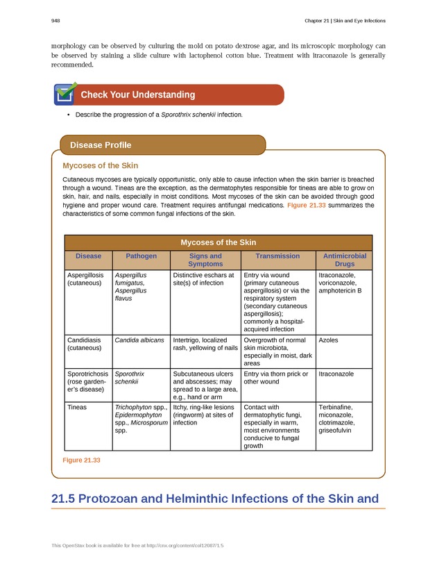 Microbiology - Front Matter 958