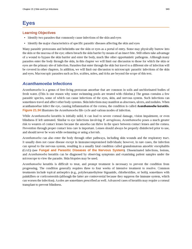 Microbiology - Front Matter 959