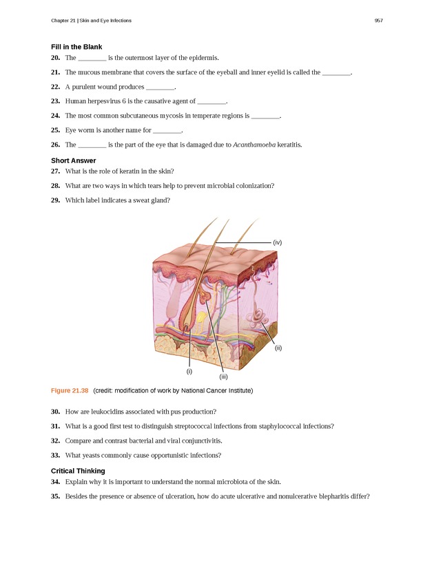 Microbiology - Front Matter 967