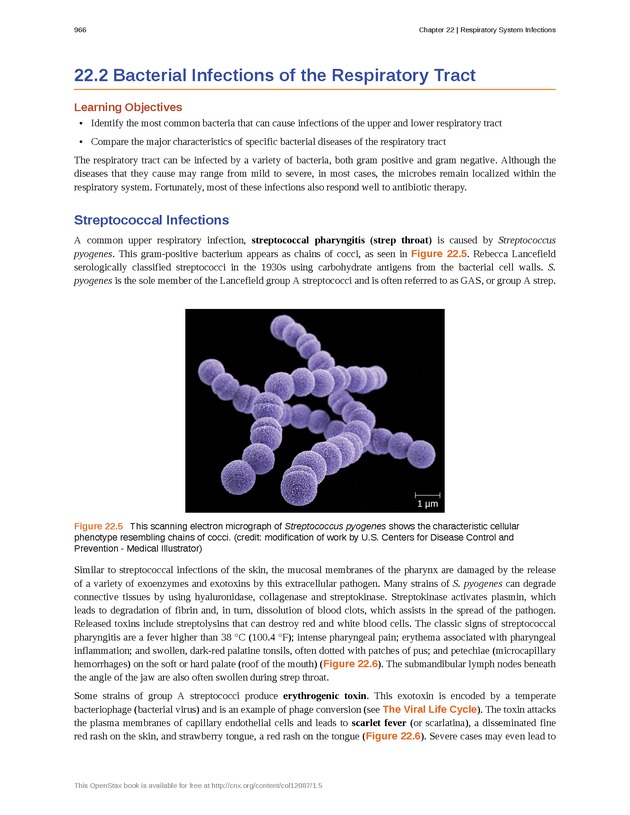 Microbiology - Front Matter 976