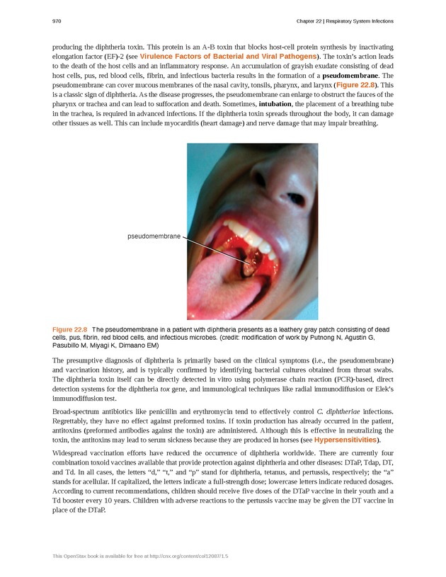 Microbiology - Front Matter 980