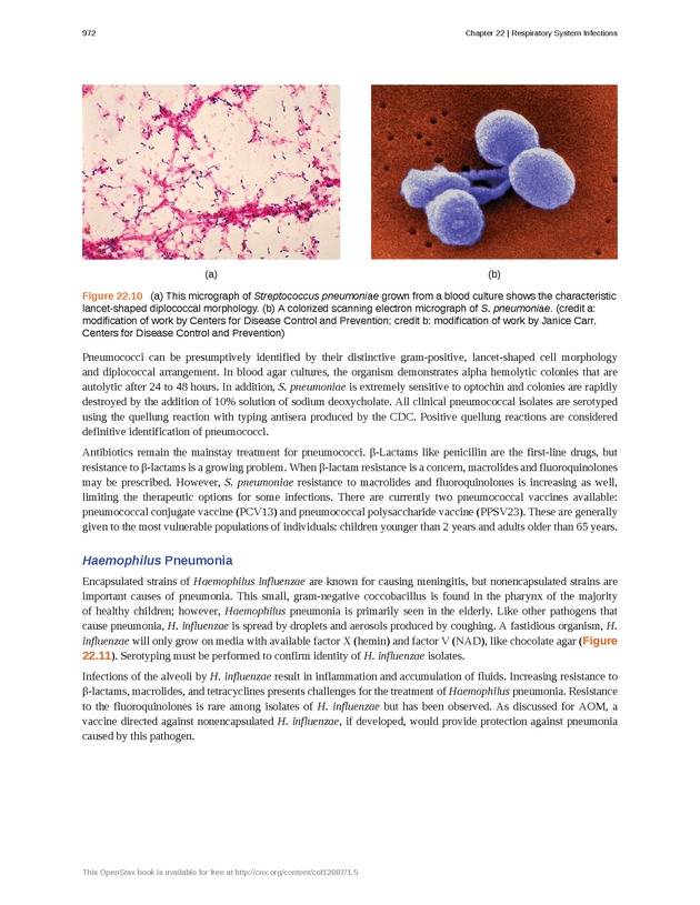 Microbiology - Front Matter 982