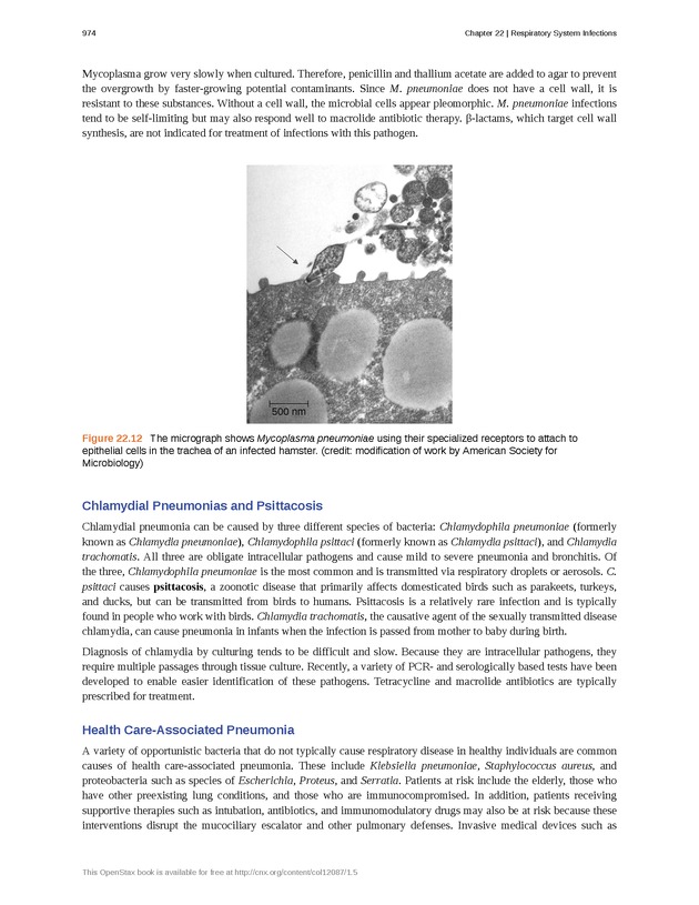 Microbiology - Front Matter 984