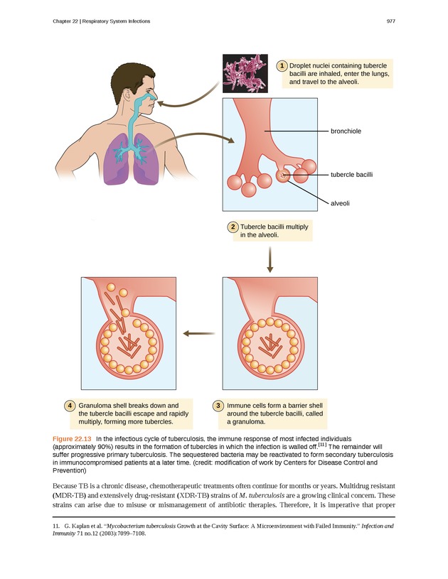 Microbiology - Front Matter 987