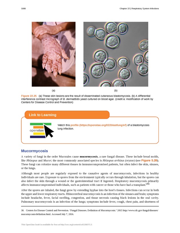 Microbiology - 