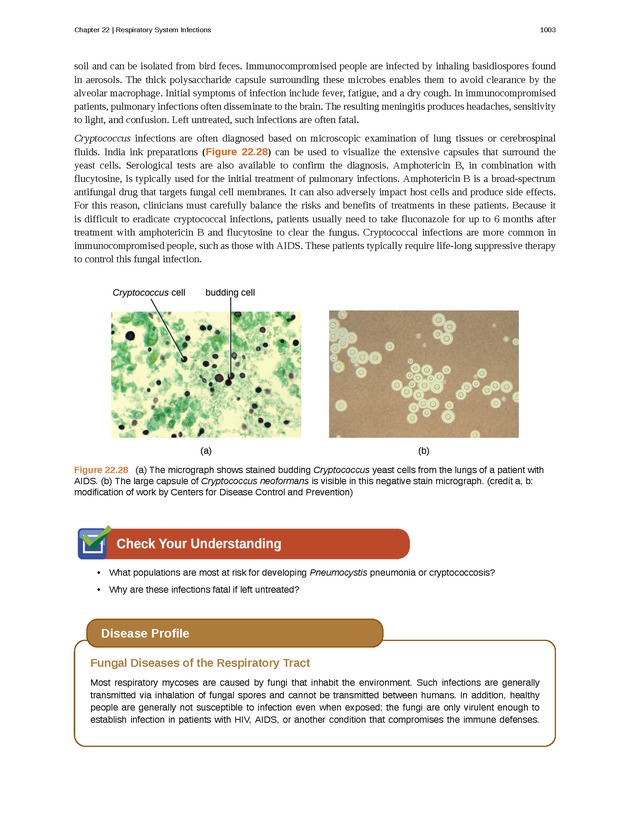 Microbiology - 