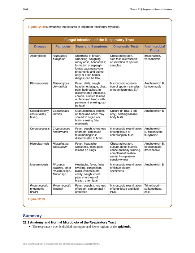 Microbiology - 