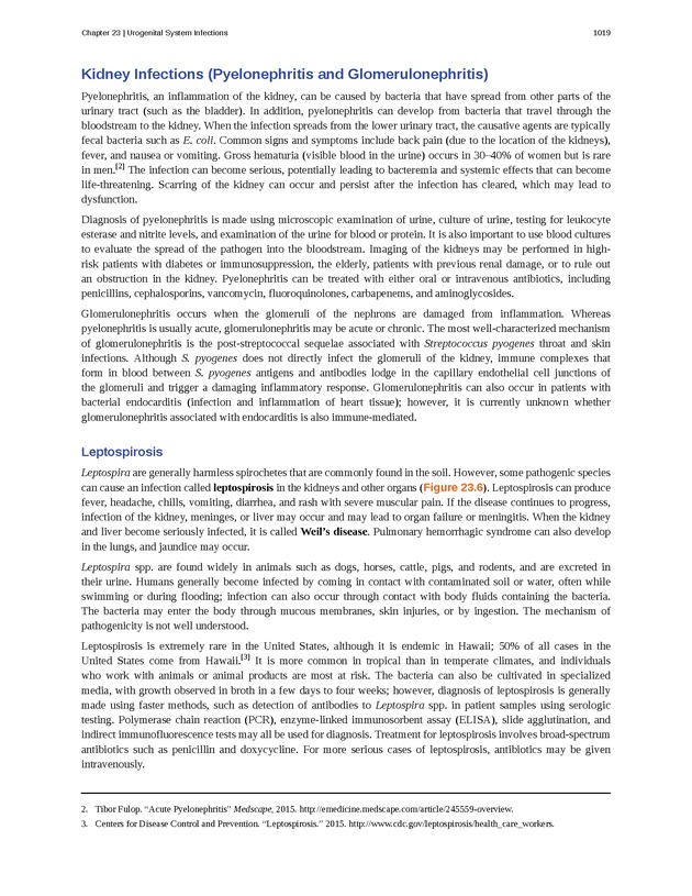 Microbiology - 