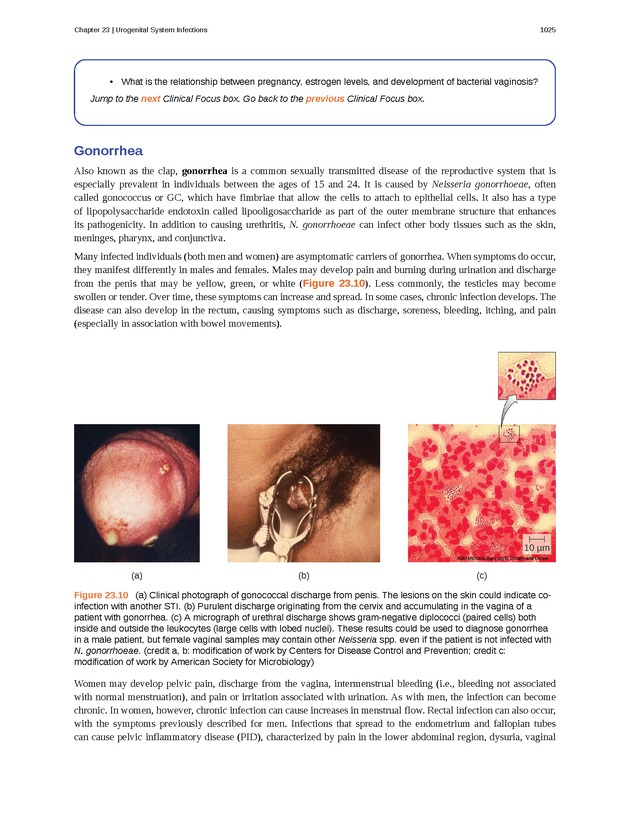 Microbiology - 