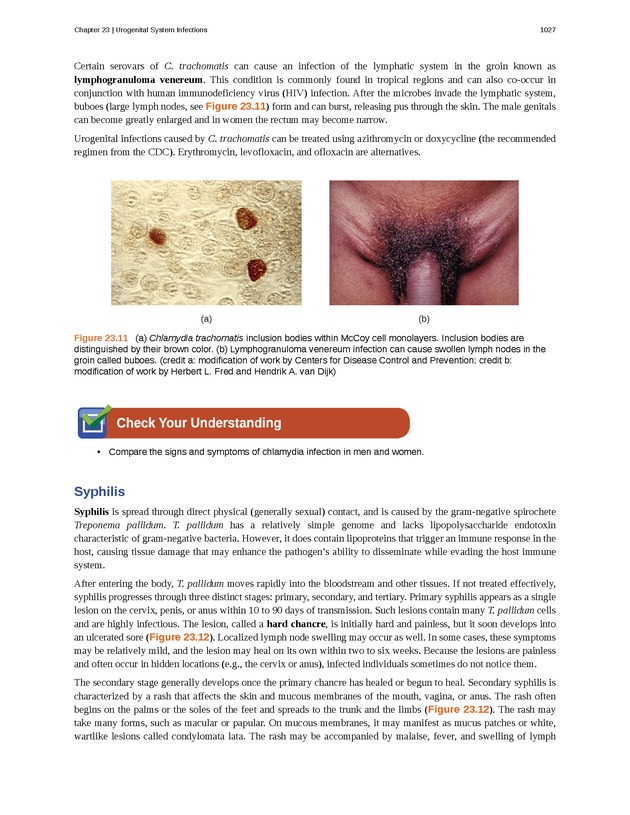Microbiology - 