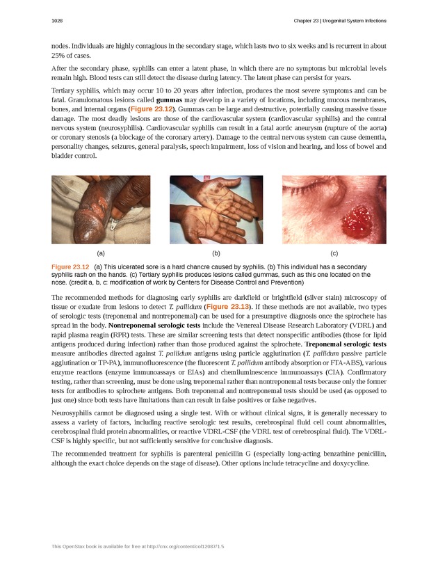 Microbiology - 